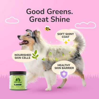 kin+kind Skin and Coat Supplement for Dogs & Cats – USDA Organic, Vet-Formulated – 3 Pack (3x227g)