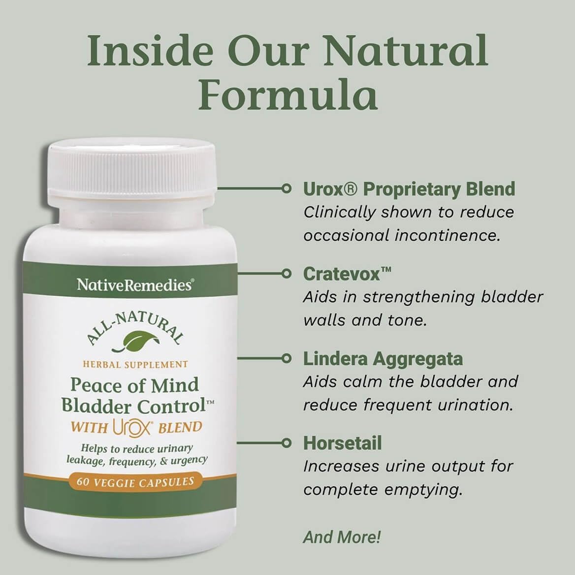 Native Remedies Peace of Mind with Urox – Bladder Support Supplement for Women and Men (60 Capsules) - görsel 5
