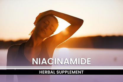 PURE ORIGINAL INGREDIENTS Niacinamide (730 Capsules)