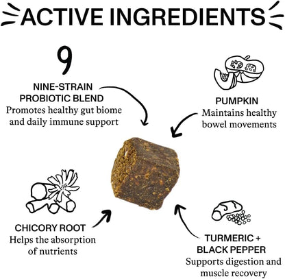 Spot & Tango Probiotics Supplements for Dogs - Vet-Approved for Healthy Digestion and Balanced Gut - Pumpkin, Turmeric, Chicory Root, Black Pepper, Nine-Strain Probiotic Blend, 56 Count