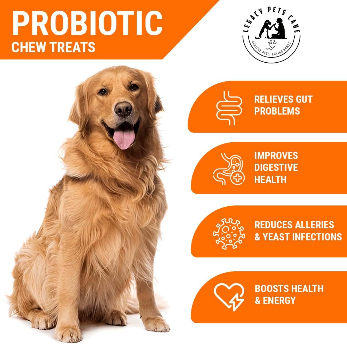 Probiotics for Dogs Soft Chews, 120 Chews – Complete Gut Care for Digestive & Immune Support | Probiotics for Digestive Health | Pet Probiotics 255 g Jar - Probiotic for Dogs - görsel 4