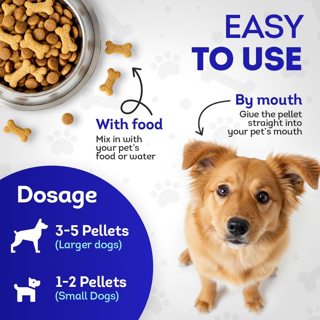 HA4E - Dog Oral Health Supplement - Natural, Organic, Non-GMO - 300 Tablets - görsel 5