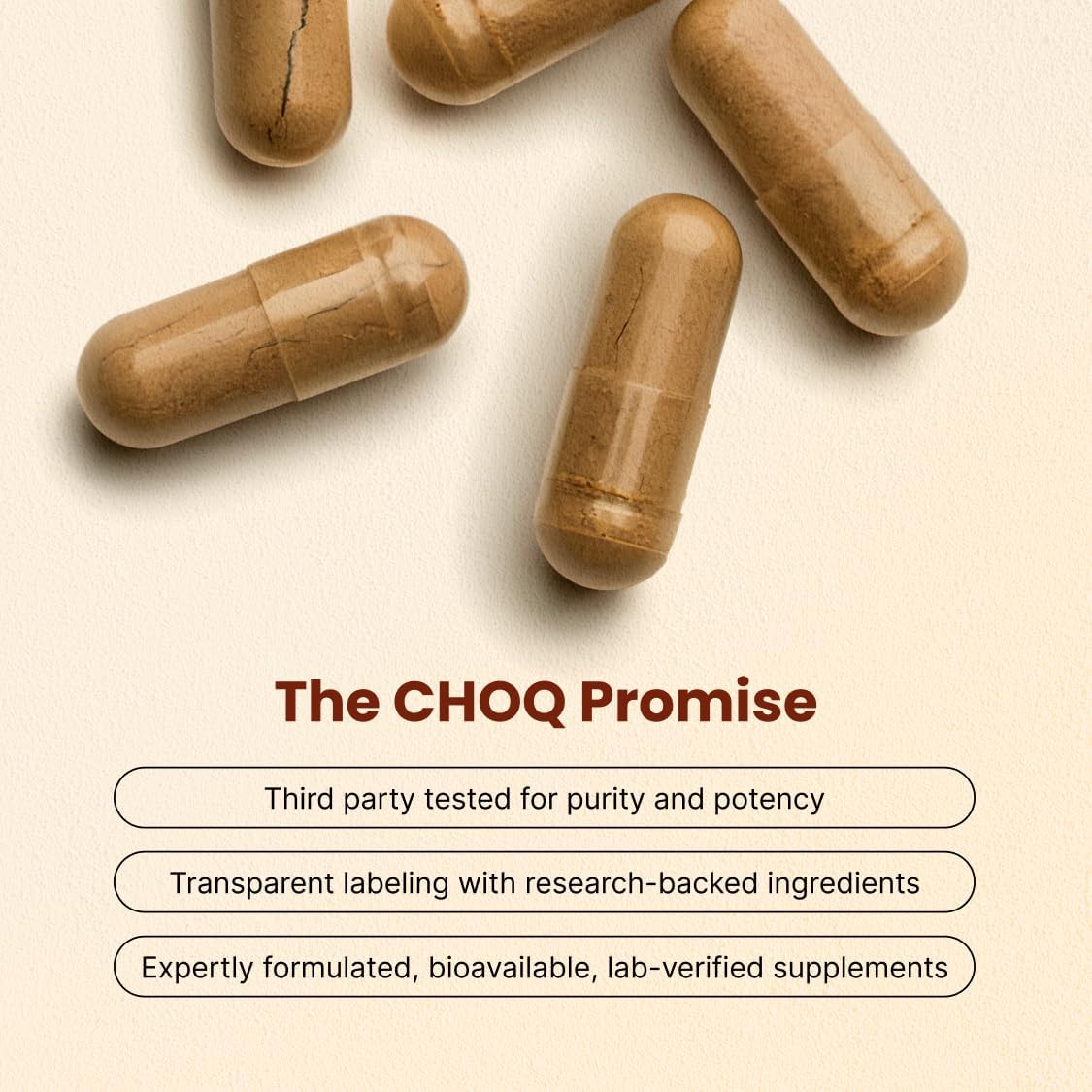 CHOQ Tongkat Ali Extract 100mg – LJ100 Longjack with 40% Glycosaponins, 30 Capsules - görsel 3