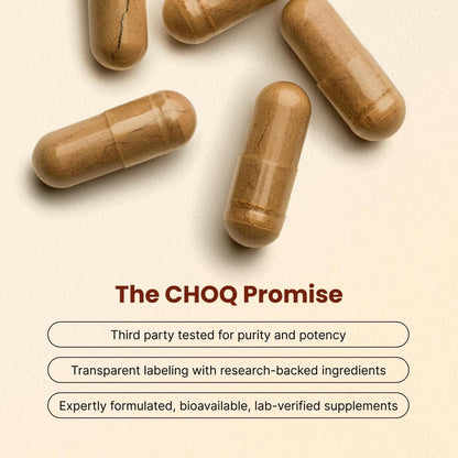 CHOQ Tongkat Ali Extract 100mg – LJ100 Longjack with 40% Glycosaponins, 30 Capsules