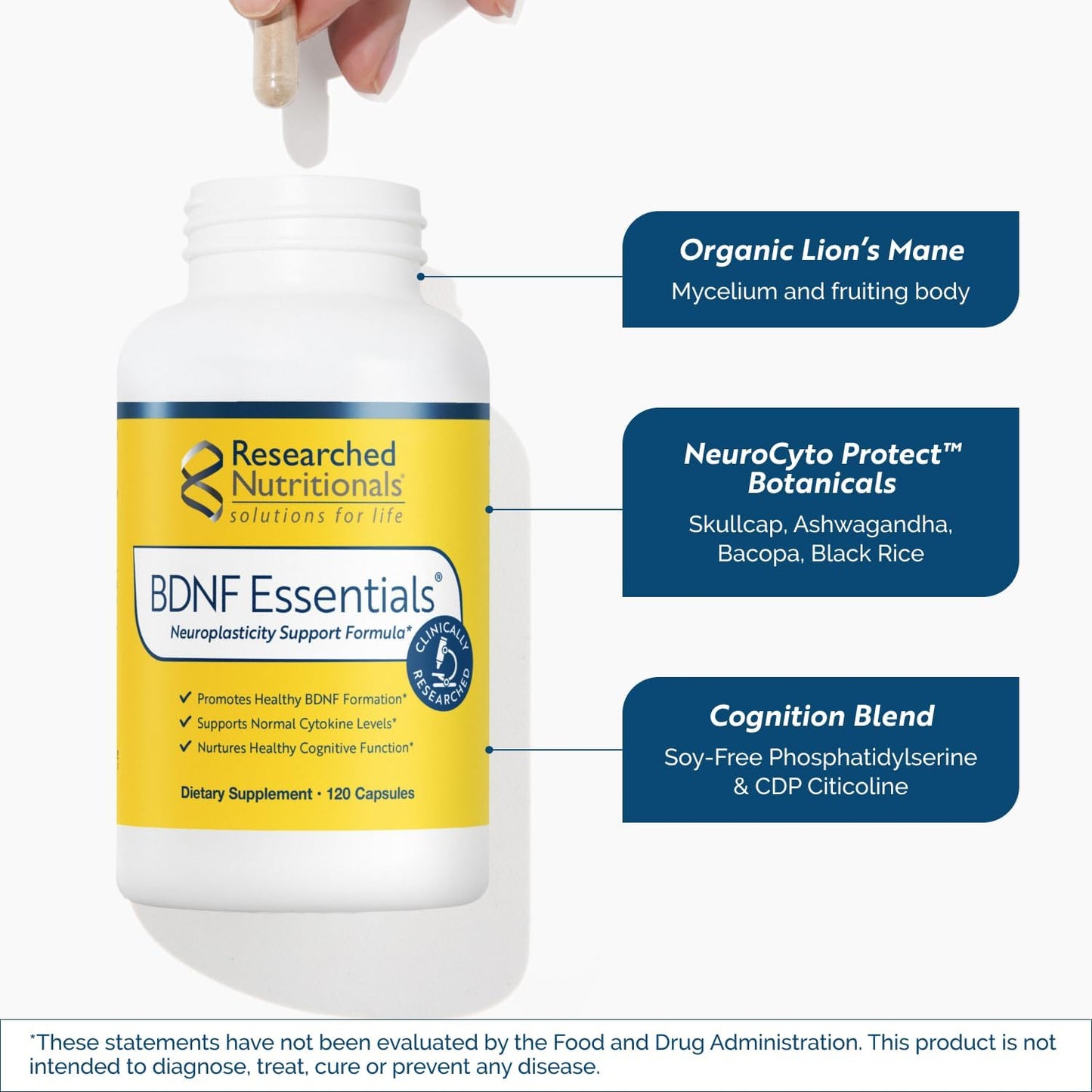Researched Nutritionals BDNF Essentials – Brain Supplement with Bacopa Monnieri and Lion's Mane, 120 Capsules - görsel 5