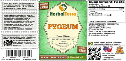 African Cherry Pygeum (Prunus Africana) Glycerite - Alcohol-Free Liquid Extract, 2 x 60 ml