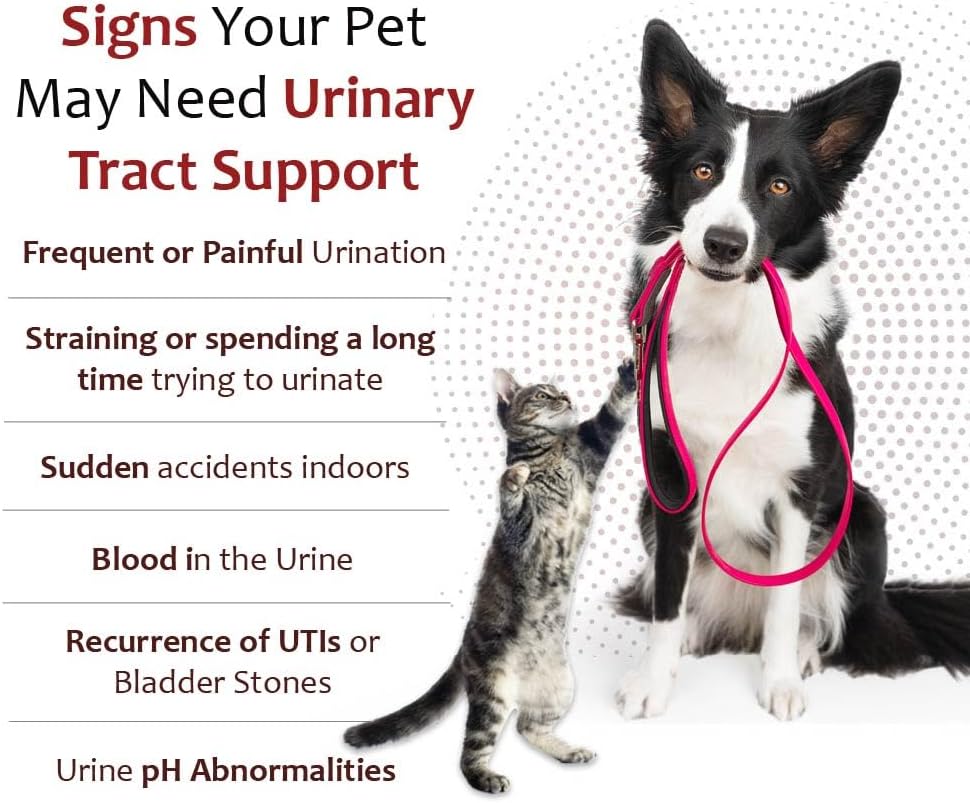 K-Plus Potassium Citrate + Cranberry Granules for Dogs & Cats - görsel 2
