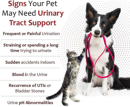 K-Plus Potassium Citrate + Cranberry Granules for Dogs & Cats