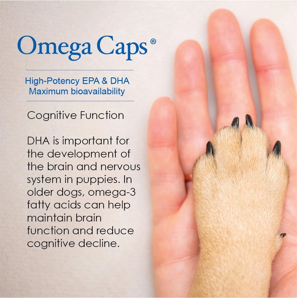Omega-Caps HP Snip Tips for Cats & Smaller Dogs - Omega-3 Fish Oil Supplement with EPA, DHA, Vitamins, Minerals, and Antioxidants - Supports Immune, Joint, Heart, and Brain Health - 60 Softgels - görsel 6