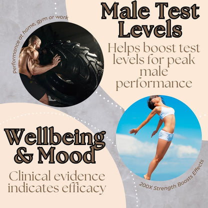 Research Labs Tongkat Ali Extract Capsules - Potent, Highly Concentrated Formula for Strength, Vitality, Drive & Muscle Support