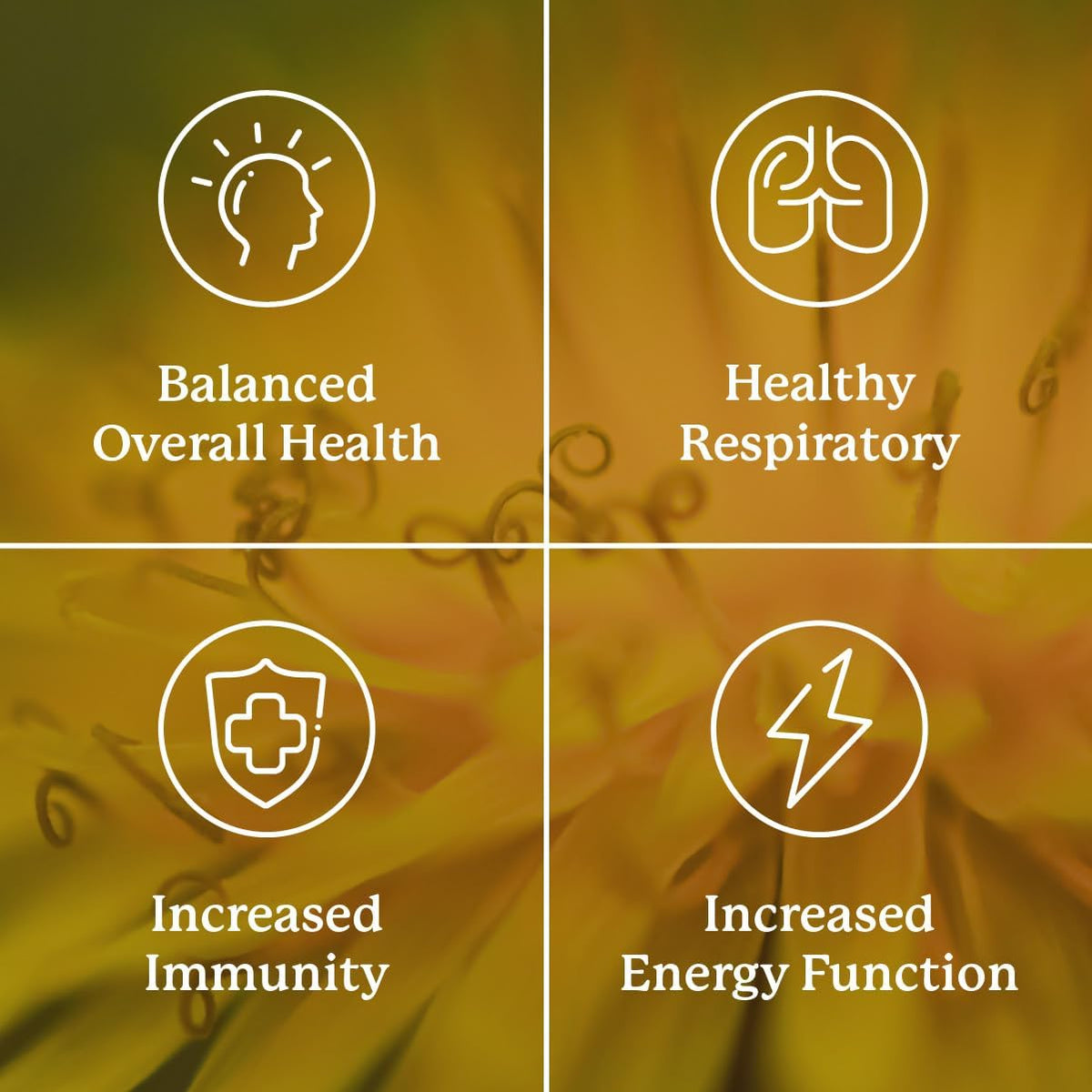 Nature's Sunshine VS-C TCM Concentrate – Traditional Immune & Respiratory Support, 10-Herb Chinese Formula, 30 Vegcaps - görsel 4