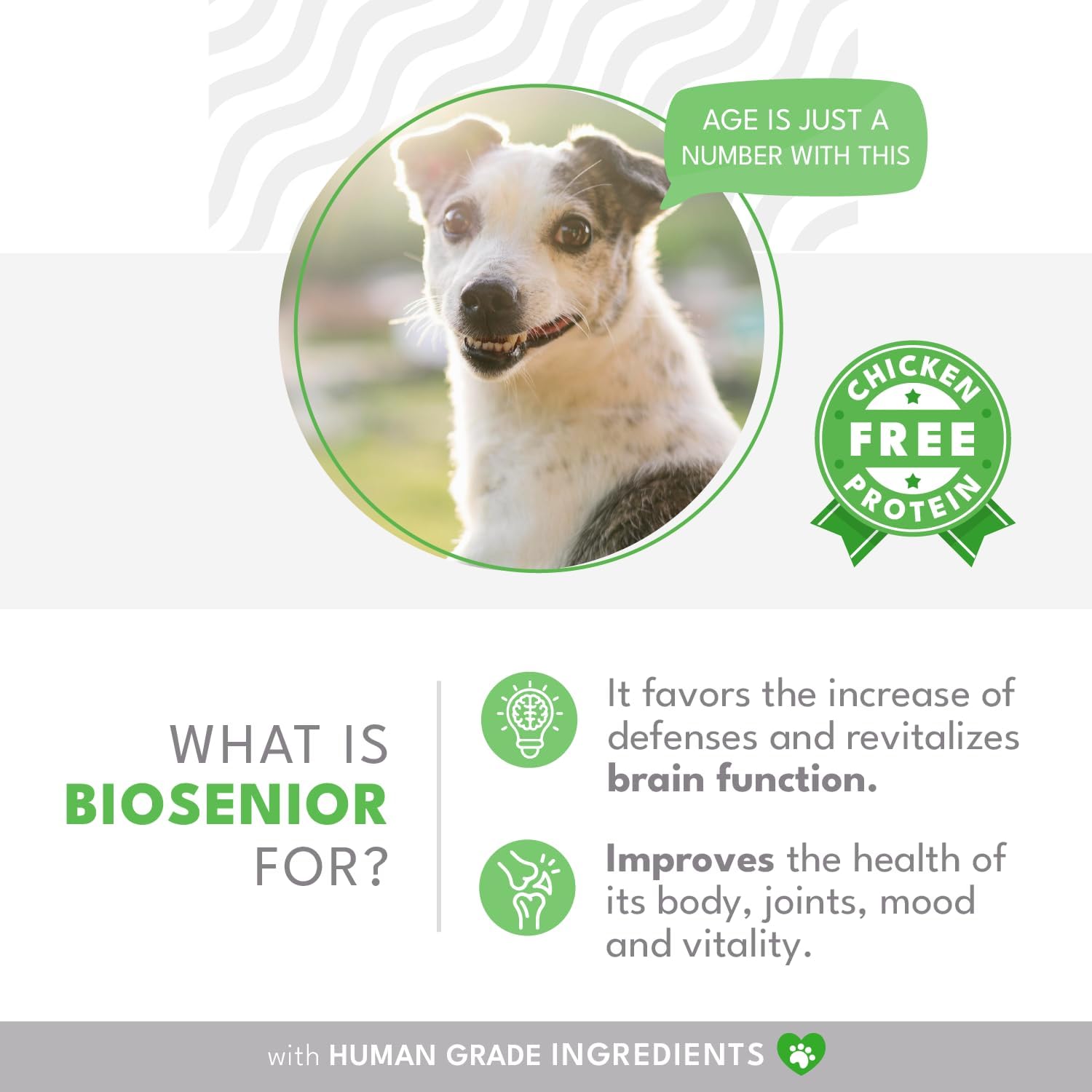 BIOSENIOR by Natural PET by FNL: A Comprehensive Supplement with Essential Vitamins and Minerals for Senior Dogs Over 7 Years Old to Enhance Cognitive Function, Joint Health and Overall Vitality - görsel 3