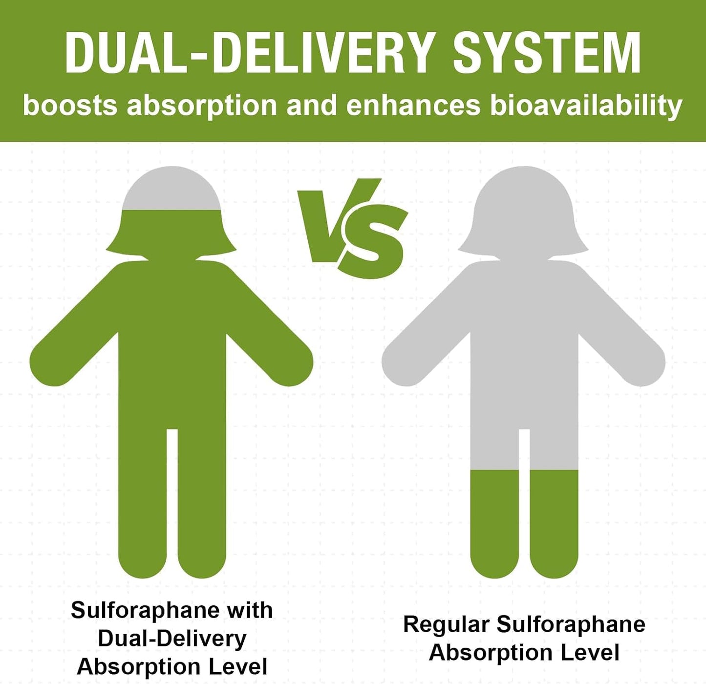 800 mg Liposomal Sulforaphane – Dual-Delivery for Enhanced Absorption – Full-Spectrum Broccoli Extract – Antioxidant Support – 120 Softgels - görsel 3