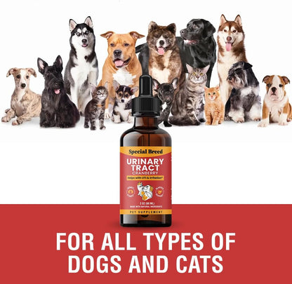 Special Breed Cat & Dog Urinary Tract Infection Treatment – Natural UTI Relief with Cranberry Drops – Kidney & Bladder Support – Helps Incontinence, Frequent Urination, Bladder Stones – Pet Renal Care Drops