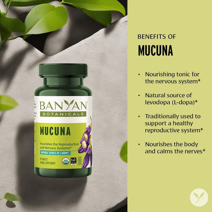 Banyan Botanicals Organic Mucuna Pruriens – Physical Vitality and Neuromuscular Support – 90 Tablets