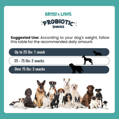 Bruno & Lukas Probiotic Chews for Dogs – Digestive Health & Gut Flora Support, 90 Chews