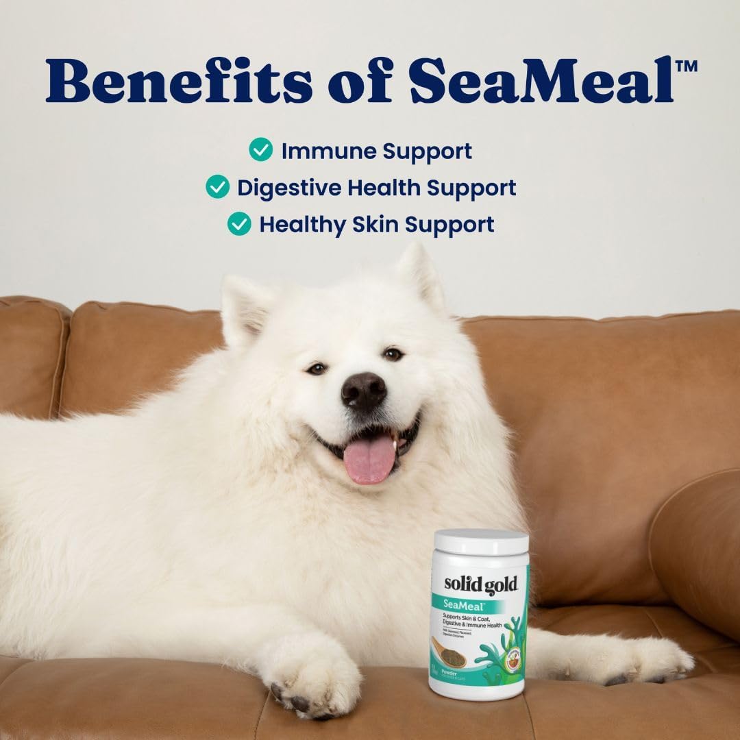 Solid Gold Cat & Dog Multivitamin Powder - SeaMeal Kelp-Based Supplement with Omega 3 - 1 lb - görsel 4