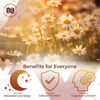 Nootropics Depot Apigenin Capsules | 200mg | 30 Capsules | >98% Apigenin