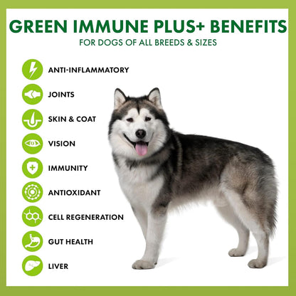 King Kanine Green Inmune Plus Multivitamin and Mineral for Dogs (170g)
