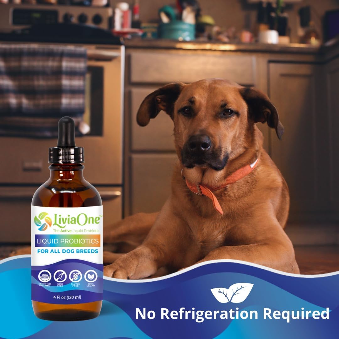 BioLifePet Liquid Probiotics for Dogs, Organic Dog Probiotic Supplement, 120 ml - görsel 3