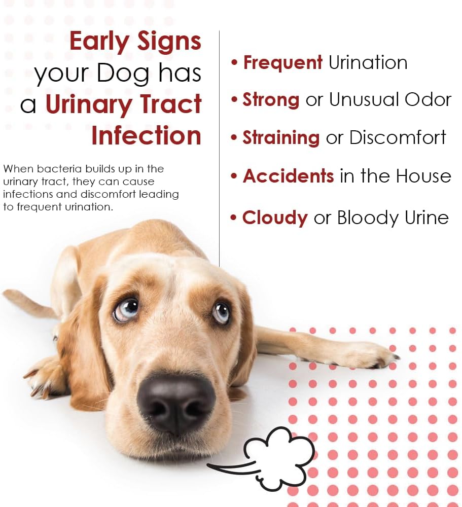 Pet Health Solutions Cranberry D-Mannose Urinary Tract Chewable Tablets for Dogs and Cats - görsel 6