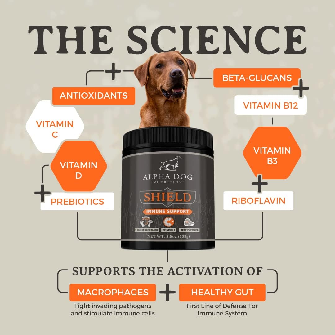 Shield Allergy Immune Support Supplement for Small Breed Dogs - 7 Mushroom Complex with Vitamin C, 108g - görsel 2