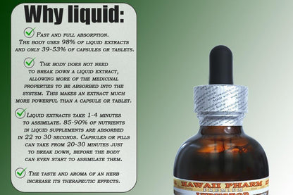 Hawaii Pharm Moringa Alcohol-Free Liquid Extract – Moringa Oleifera Leaf Glycerite, 60 ml