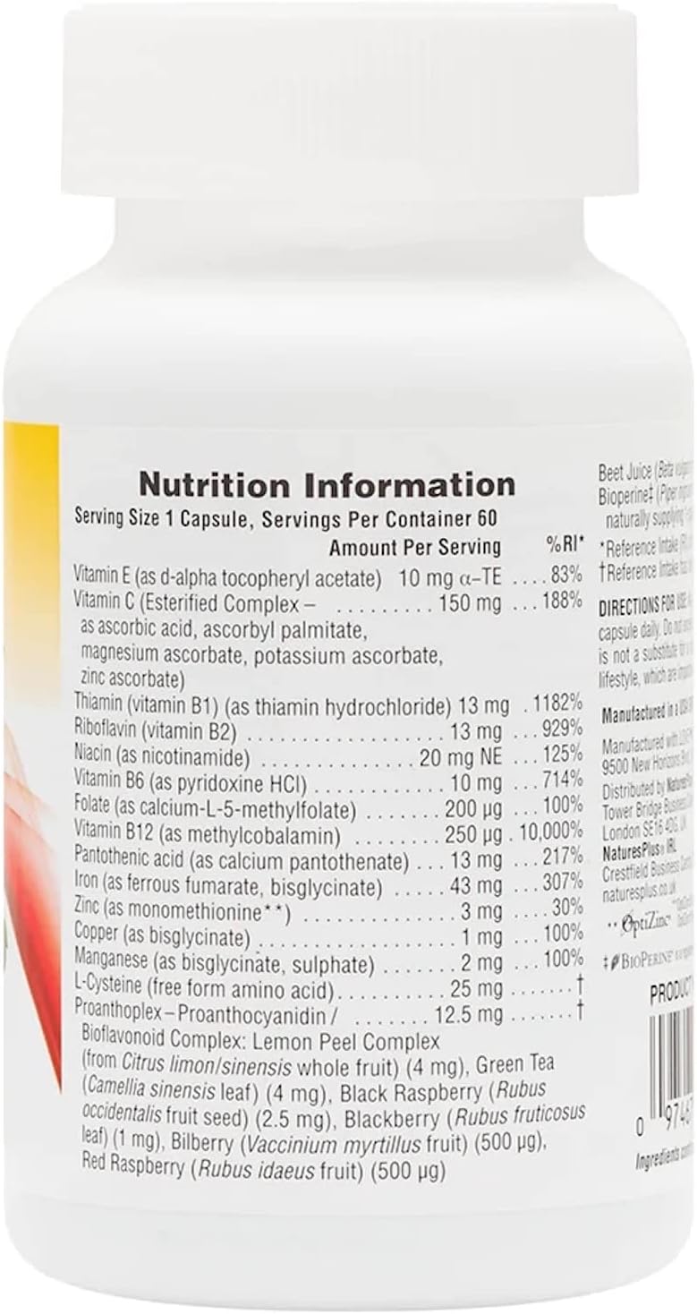 NaturesPlus Hema-Plex Iron – 85 mg Chelated Iron with Vitamin C and Bioflavonoids – 60 Capsules - görsel 2