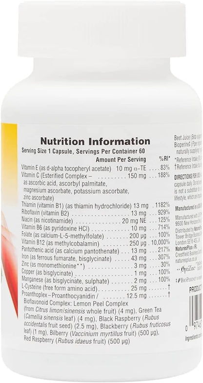 NaturesPlus Hema-Plex Iron – 85 mg Chelated Iron with Vitamin C and Bioflavonoids – 60 Capsules