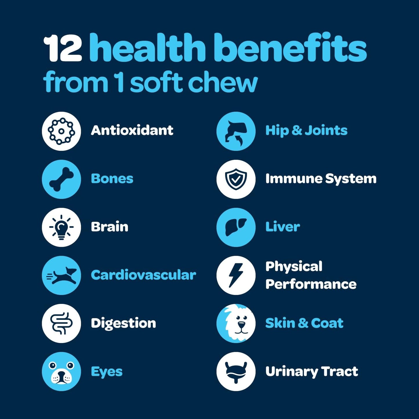 12-in-1 Complete Multivitamin for Dogs - 60 Chews - görsel 5