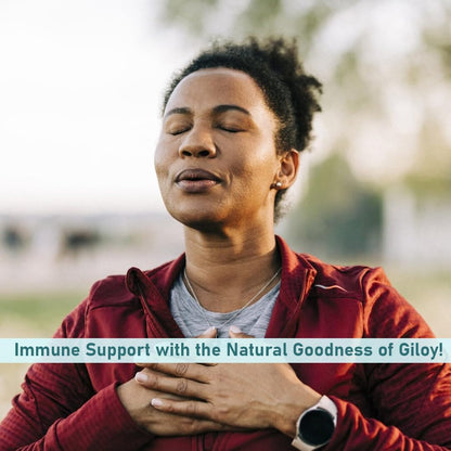 minature Giloy 90 Tablets | 1000 mg | 45 Day Supply | 100% Natural Giloy/Guduchi | Vegan | From India – Image 7