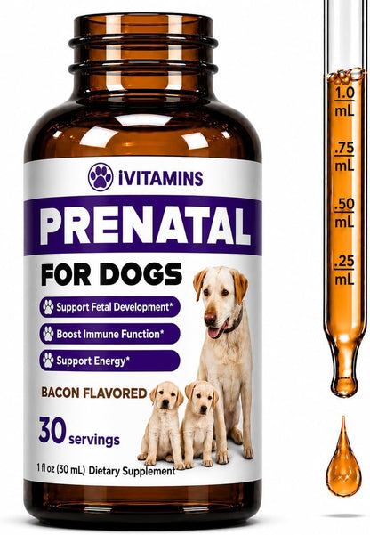 Dog Prenatal Vitamins - Liquid Prenatal for Dogs with B Complex & Vitamin C - Bacon Flavour (30 ml) - Organic, Non-GMO