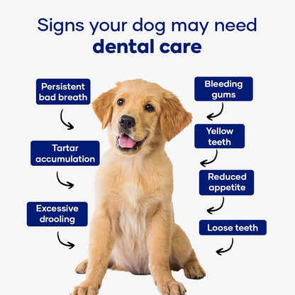 Aniwell Dog Dental Powder - Herbal Extract Formulation for Fresh Breath, Plaque & Tartar Support | No Brushing Required | Daily Dog Breath Freshener for All Breeds
