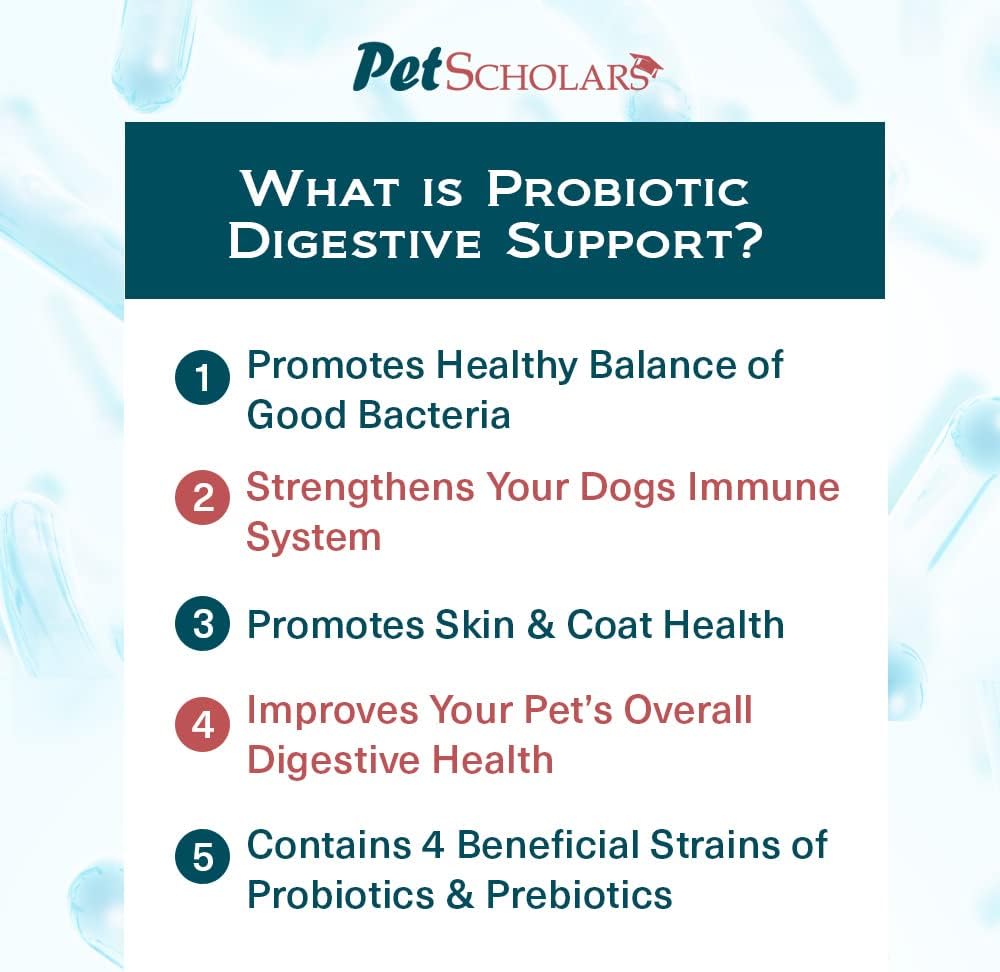 Pet Scholars Probiotic Digestive Support for Dogs & Cats (2.12 oz) - görsel 4