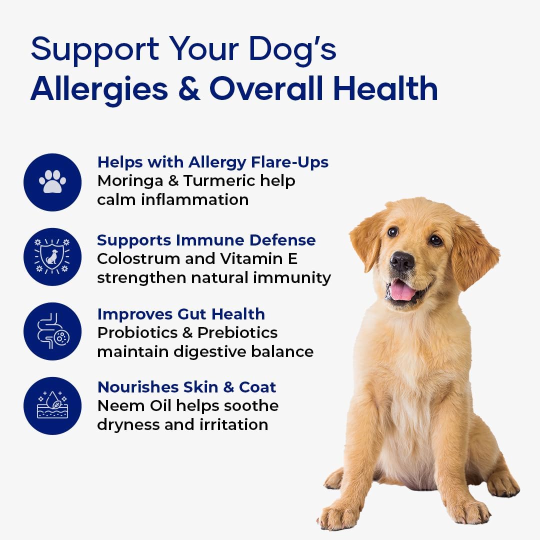 Aniwell Allergy & Immune Support Chews for Dogs – Astragalus & Flaxseed C3 – Soft Chews - görsel 4