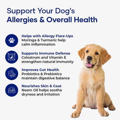 Aniwell Allergy & Immune Support Chews for Dogs – Astragalus Root & Flaxseed C3 | Promotes Seasonal Allergy Relief, Gut & Digestive Health | Probiotics, Colostrum & Krill Oil (Pack of 2)