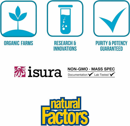 Natural Factors TravelBiotic - Shelf-Stable Probiotic Supplement - 10 Billion CFU - 60 Capsules