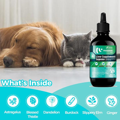 Pets Herbal Liver Support Suspension for Cats & Dogs - 30ml | Supports Detox, Vitality & Immune Health | Easy to Administer Liquid Formula | Supports Digestive Function