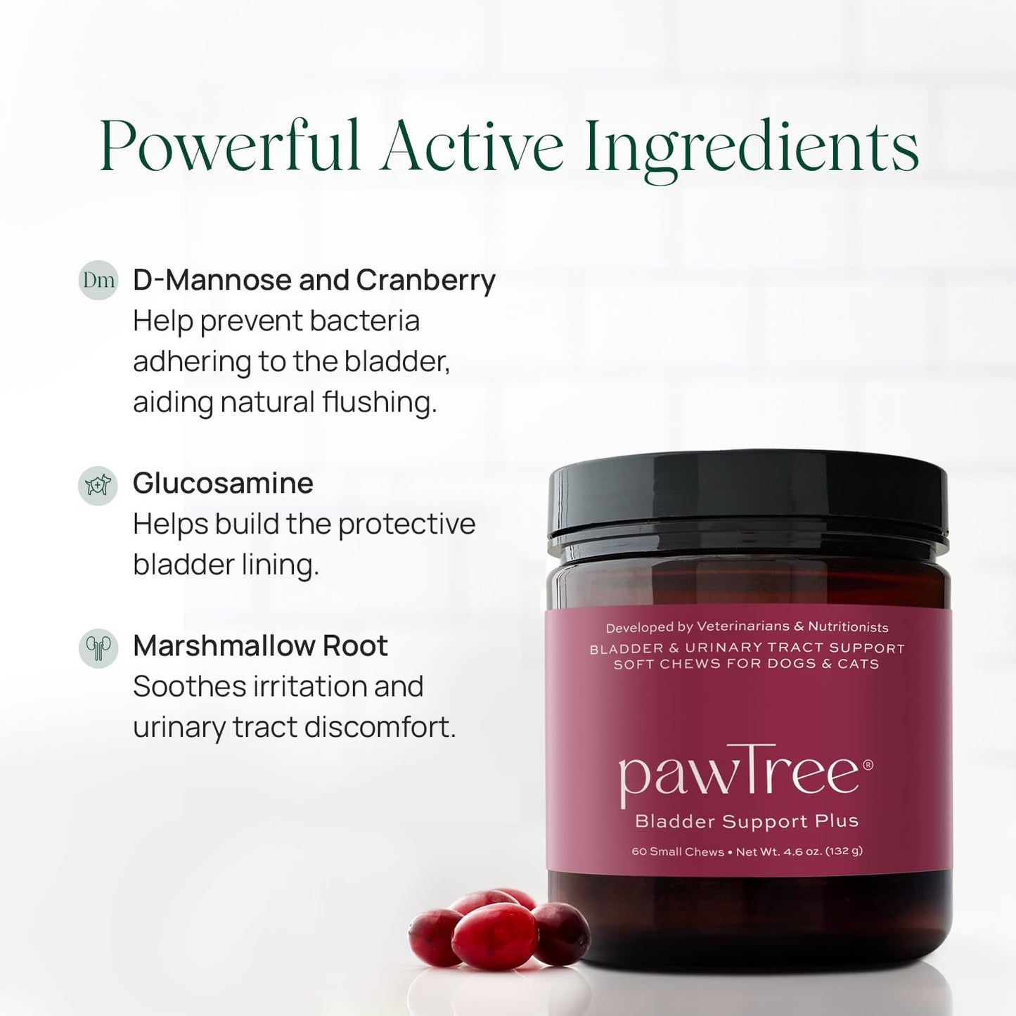 pawTree Bladder Support Plus - Bladder & Urinary Tract Wellness Supplement for Dogs and Cats - with D-Mannose, Cranberry, Glucosamine and Marshmallow Root (Large) - görsel 2