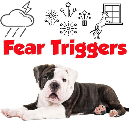 The Blissful Dog Olde English Bulldog Calm Aromatherapy Spray