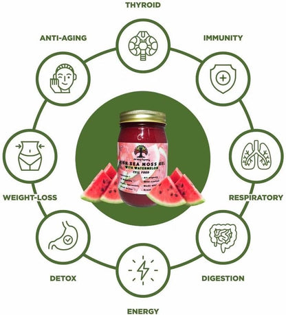 Wildcrafted Irish Sea Moss Gel | 100% Organic Gold Sea Moss | Rich in Vitamins and Minerals | Natural Watermelon Flavour (1 Pack)