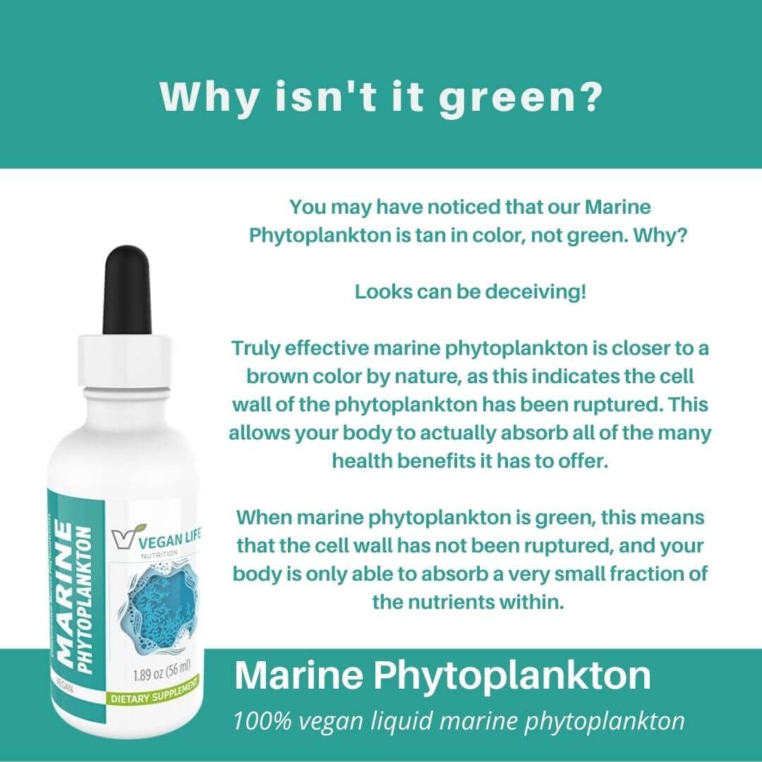 Marine Phytoplankton Liquid – Gluten-Free, Non-GM, Alpha 3 CMP – 55.9 ml - görsel 2