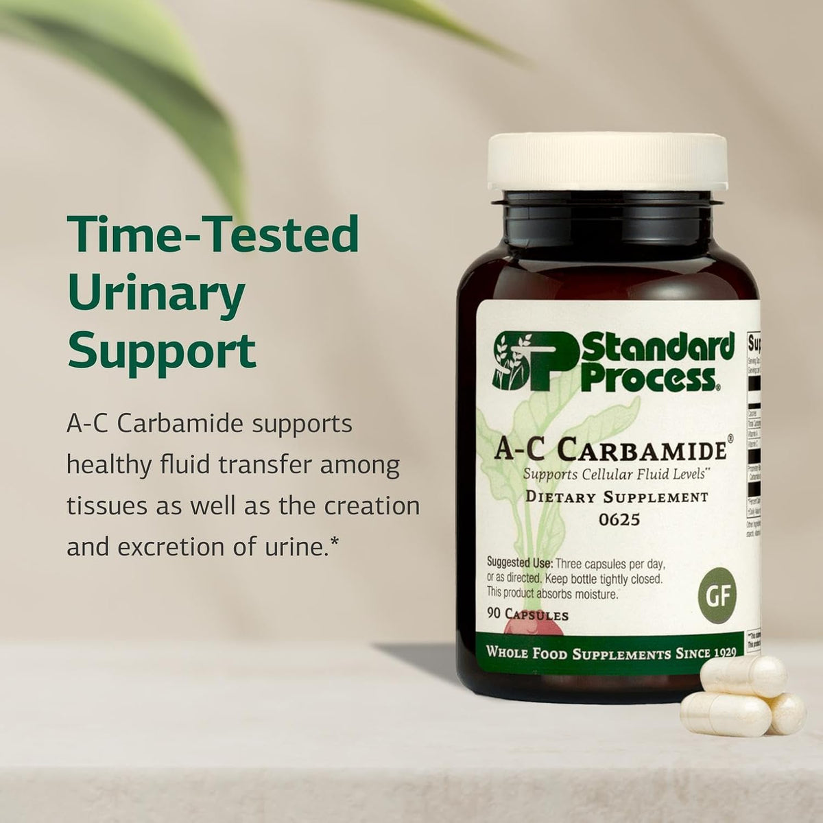 Standard Process A-C Carbamide - Urinary Support Supplement with Vitamin A and C - 90 Capsules - görsel 3
