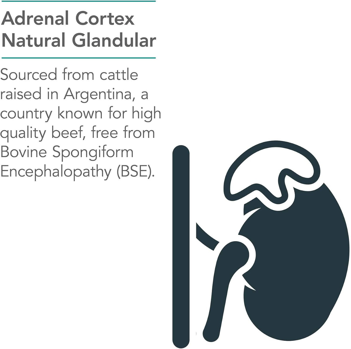NutriCology Adrenal Cortex – Bovine Glandular Food Supplement 100 mg – 100 Vegicaps - görsel 4