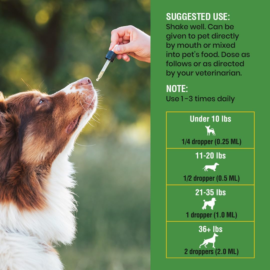 Natural Intestinal Defence for Dogs, Herbal Cleanse with Wormwood, Black Walnut – Digestive Support Promotes Gut Health & Flora Balance, Advanced Broad Spectrum Formula – Made in the USA, 4 fl oz (118 ml) - görsel 5