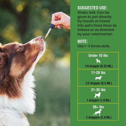Natural Intestinal Defence for Dogs – Herbal Cleanse with Wormwood & Black Walnut, Digestive Support, 240 ml