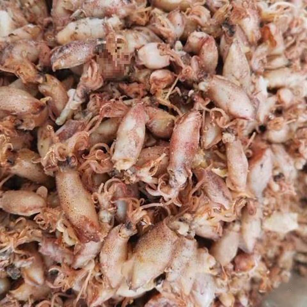 Dried Squid Cuttlefish Moyuzai (100g) - görsel 1