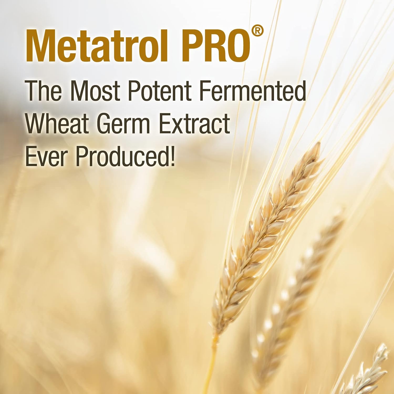 American BioSciences Metatrol PRO, Fermented Wheat Germ Extract – Gluten-free Immune Support – 60 Vegetarian Capsules, 41 mg - görsel 4