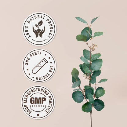 Star Anise Alcohol-Free Natural Tincture Extract – Immune Support, 118 ml