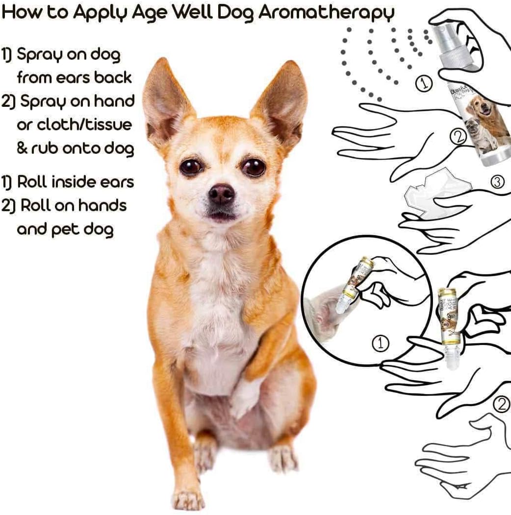 The Blissful Dog Chihuahua Age Well Spray Aromatherapy - görsel 4